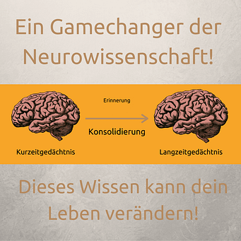Gamechanger der Neurowissenschaft